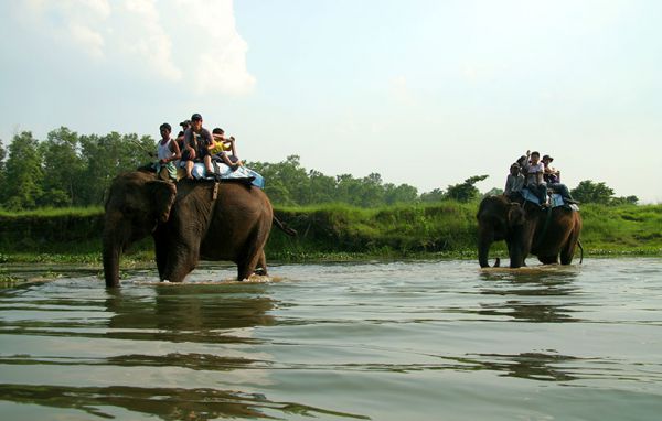 Daman/Chitwan