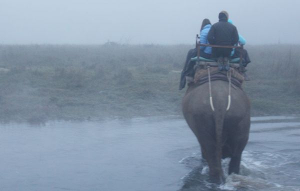 Annapurna Comfort with Chitwan