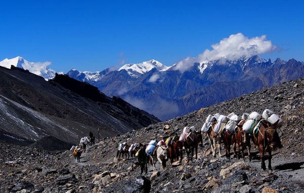 Annapurna (Thorang Pass) Trekking