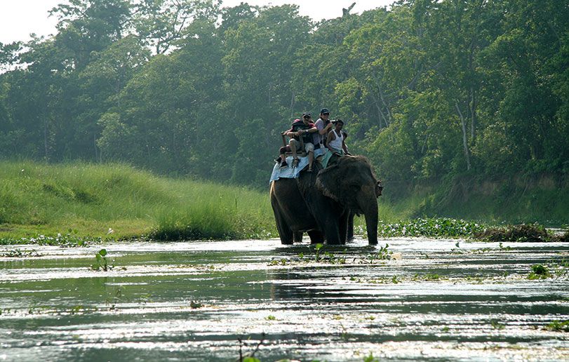 6-days Rafting-Wildlife Safari extension